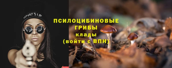 спиды Бугульма
