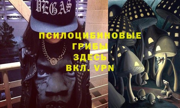 МДМА Бородино